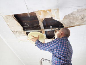 Ceiling Collapse Cases